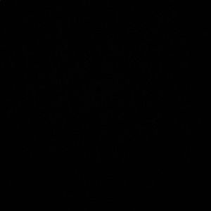 Meet your Posher, Tarleton